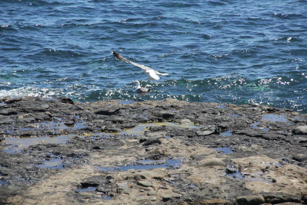 Seagull Estudios Pozo Izquierdo Kültér fotó